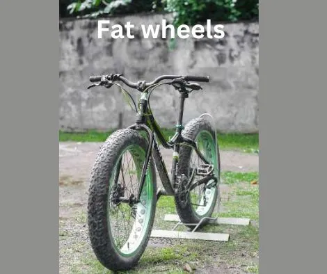fat wheel bike